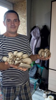 Сегодня на обед - IMG_20191129_103939.jpg