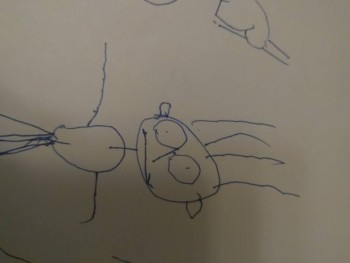 Вроде третий был...