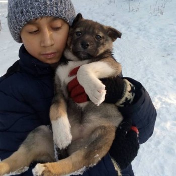 Солнечного настроения тем, кто ищет своих детей  - 80455104_171661207407480_8272438124009750528_o.jpg