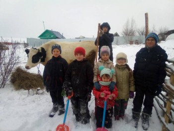 Сельские будни)) всего лишь выгуливали корову)