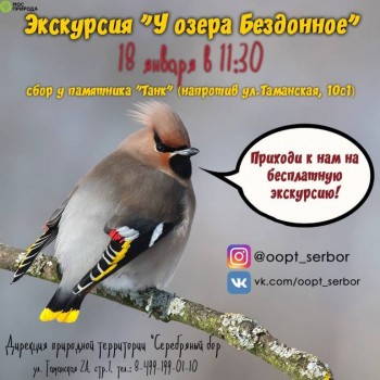 куда пойти с детьми в Москве - IMG-20200117-WA0009.jpg