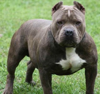 Взяли под опеку парня 17 лет - D121B554-CAB2-4137-9D2D-4967777F03E1.jpeg