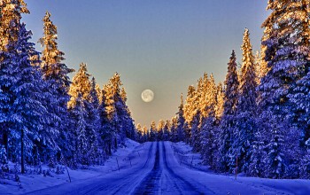 Нескучная история - ОткрыткаЗима3.jpg