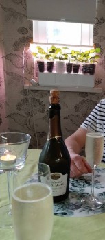 Коронавирус - 20200315_230440.jpg