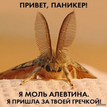 Коронавирус - 1425543029_2039018114.jpg