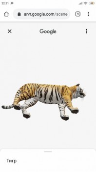 Учим и развлекаем детей и себя в коронавирус. - Screenshot_2020-04-04-22-21-42-609_com.android.chrome.jpg