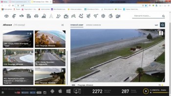Учим и развлекаем детей и себя в коронавирус. - дельфины.jpg