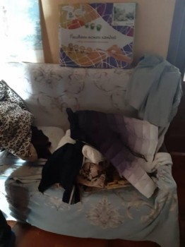 Отобрание детей. Просто ахтунг  - WhatsApp Image 2020-04-03 at 09.16.37.jpeg