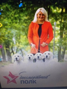 Отобрание детей. Просто ахтунг  - WhatsApp Image 2020-04-03 at 21.55.05.jpeg