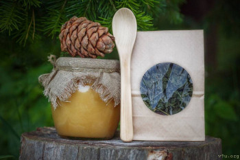 Настоящий таёжный мёд и другие полезные дары Алтая - PQzCDzDx_jY.jpg