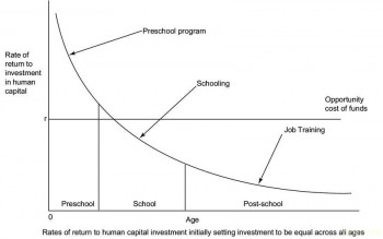 Отдача от инвестиций в человеческий капитал как функция возраста, в котором производятся инвестиции (из статьи Knudsen e.a., 2006)