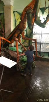 Хьюстон, у нас проблемы, или еда и поведение. - 20200718_121946.jpg