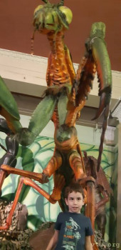 Хьюстон, у нас проблемы, или еда и поведение. - 20200718_122648.jpg