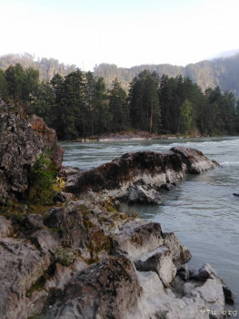 Не думала не гадала. - IMG_20200808_072003.jpg