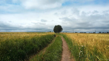 Сдаю отличный дом в деревне. Не дорого. - 20200709_113127.jpg