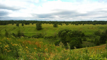 Сдаю отличный дом в деревне. Не дорого. - 20200709_120353.jpg