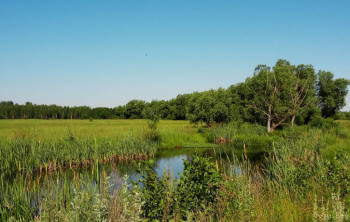 Сдаю отличный дом в деревне. Не дорого. - июнь 24 (69).jpg