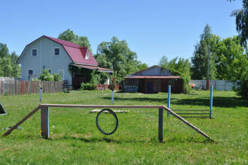 собачья площадка