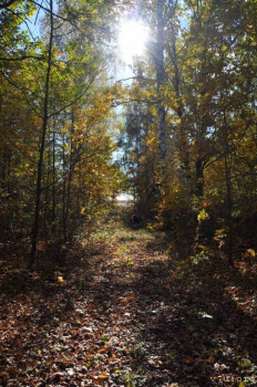 Сдаю отличный дом в деревне. Не дорого. - октяб (64).JPG