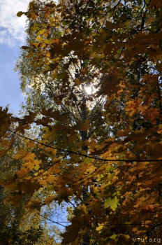 Сдаю отличный дом в деревне. Не дорого. - октяб (61).JPG