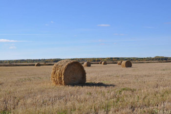 Сдаю отличный дом в деревне. Не дорого. - октяб (76).JPG