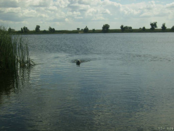 Сдаю отличный дом в деревне. Не дорого. - P6120007.JPG