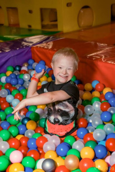 И снова про Белку  - IMG_8750.jpg