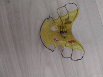 И снова про Белку  - IMG_20200913_085648.jpg