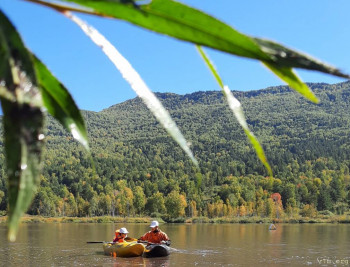 И снова про Белку  - 20200913_152905.jpg