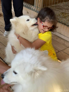 И снова про Белку  - IMG-20200915-WA0022.jpg