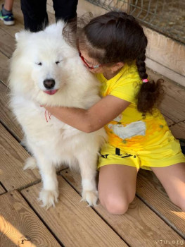 И снова про Белку  - IMG-20200915-WA0023.jpg