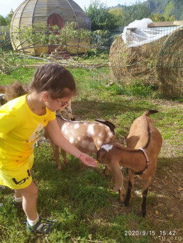 И снова про Белку  - IMG_20200915_154252.jpg