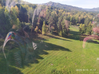 И снова про Белку  - IMG_20200915_111751.jpg