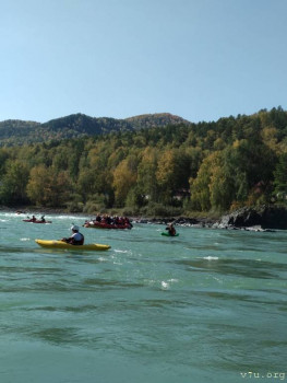 И снова про Белку  - IMG-20200920-WA0006.jpg