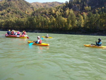 И снова про Белку  - IMG-20200920-WA0009.jpg