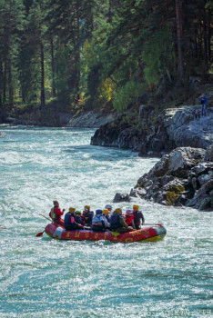 И снова про Белку  - IMG-20200920-WA0014.jpg