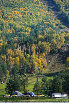 И снова про Белку  - IMG-20200920-WA0012.jpg