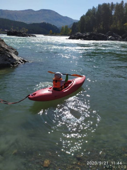 И снова про Белку  - IMG_20200921_114428.jpg