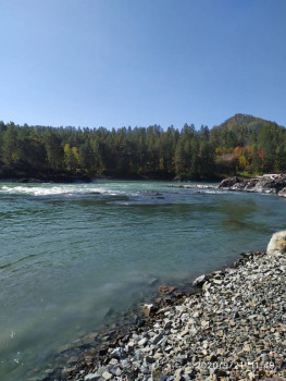 И снова про Белку  - IMG_20200921_115000.jpg