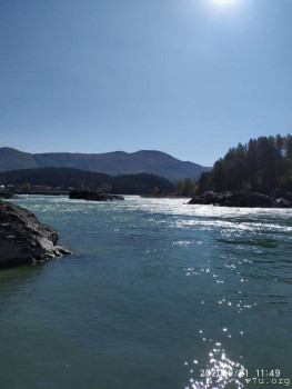 И снова про Белку  - IMG_20200921_114954.jpg