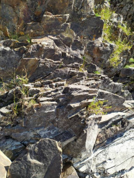 И снова про Белку  - IMG_20200921_114930.jpg