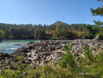 И снова про Белку  - IMG_20200921_112753.jpg