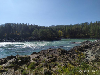 И снова про Белку  - IMG_20200921_112749.jpg