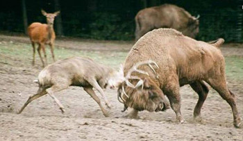 Взяли под опеку парня 17 лет - 0E4BEF62-0ED2-422A-A20F-D3727B2FD401.jpeg