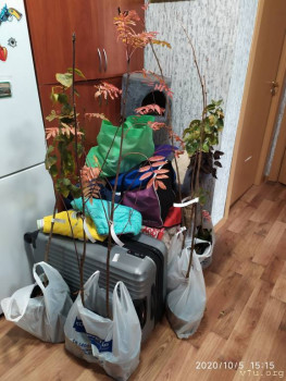 И снова про Белку  - IMG_20201005_151521.jpg