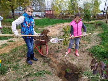 И снова про Белку  - IMG_20201007_160707.jpg