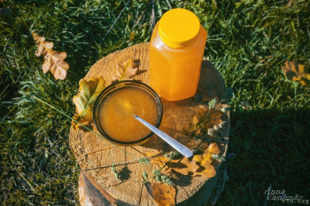 Настоящий таёжный мёд и другие полезные дары Алтая - odoUZa8mdhM.jpg