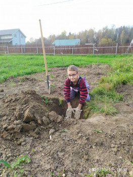 И снова про Белку  - IMG_20201013_161744.jpg