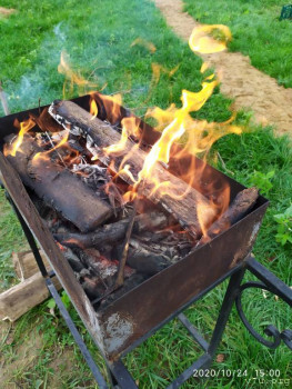 И снова про Белку  - IMG_20201024_150047.jpg