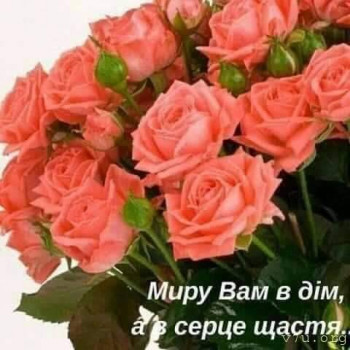 Завтра отмечаем годовщину Дня Аиста - IMG-20201026-WA0003.jpg